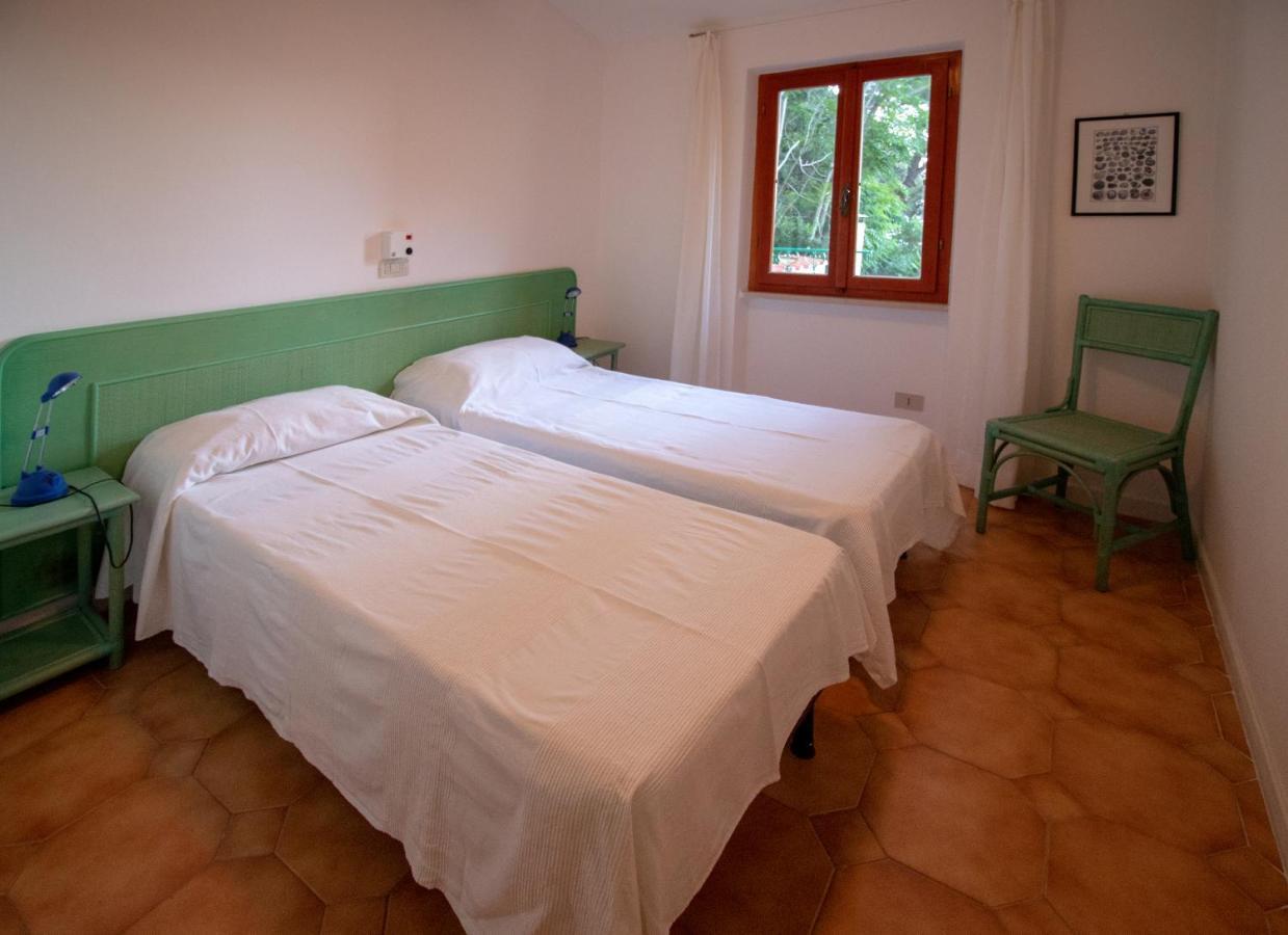 Villa Le Sprizze A Bordo Del Mare - Goelba 马西亚娜马里纳 外观 照片